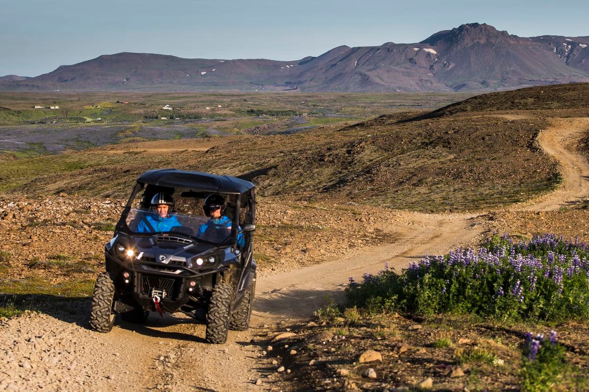 1.5 Hour Buggy Safari