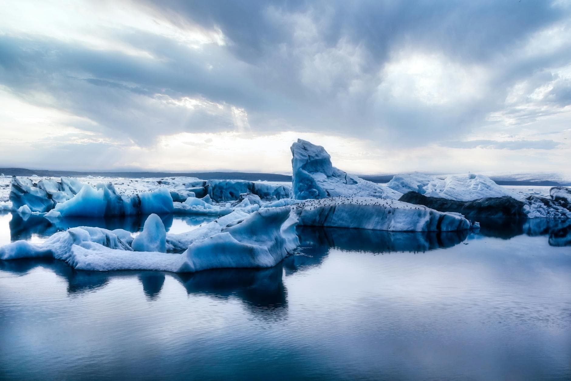 Reykjanes Guide