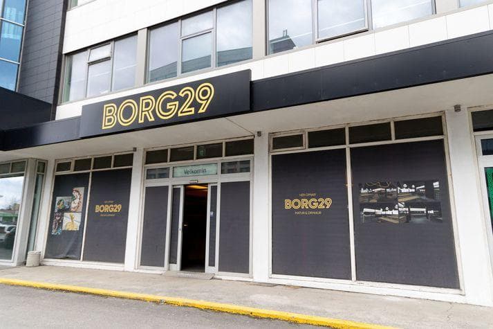BORG29