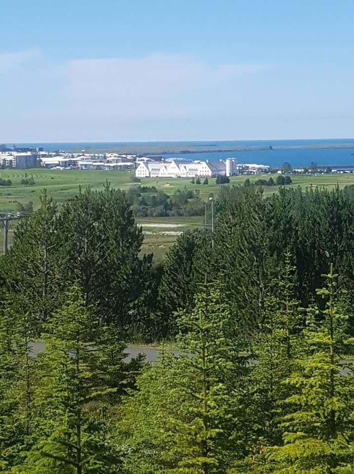 Photograph of the site — Korpulfss