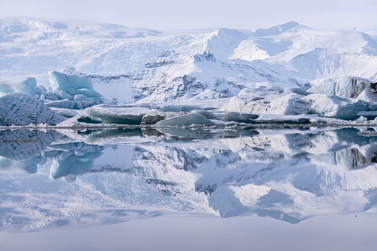 DT 11 Jökulsárlón Day Tour