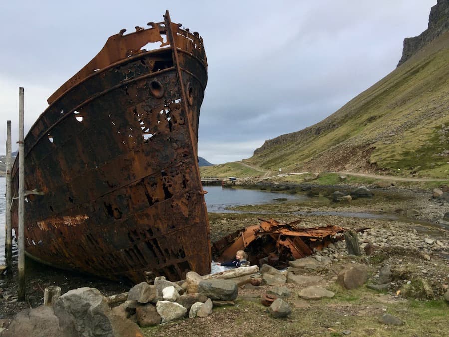 Strandir Adventure Private Tour