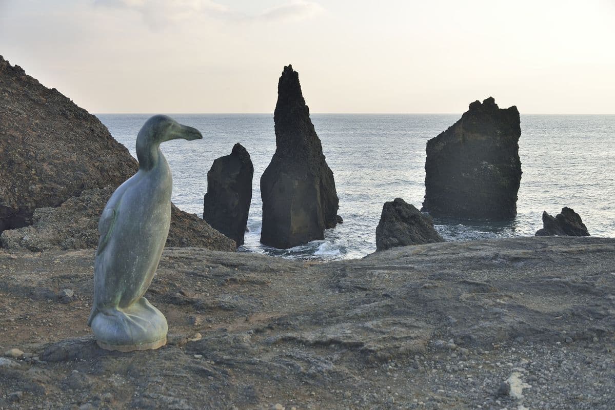 Private Reykjanes Peninsula Day Tour from Reykjavík