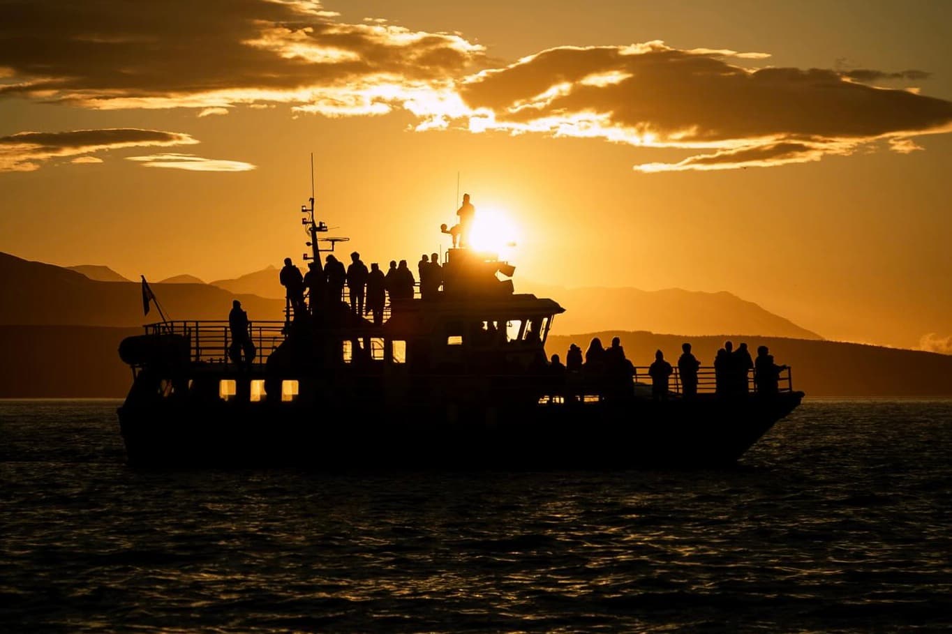 Akureyri Classic Whales in the Midnight Sun