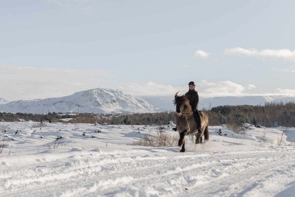 Private Horseback Riding Tour